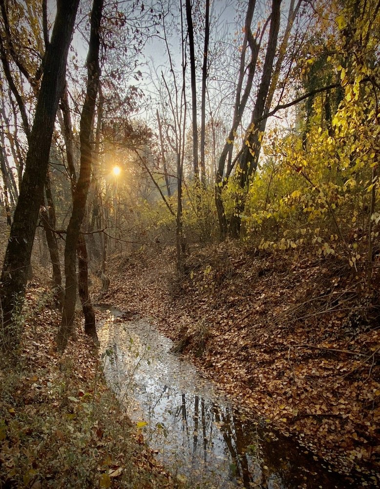 The november morning 3