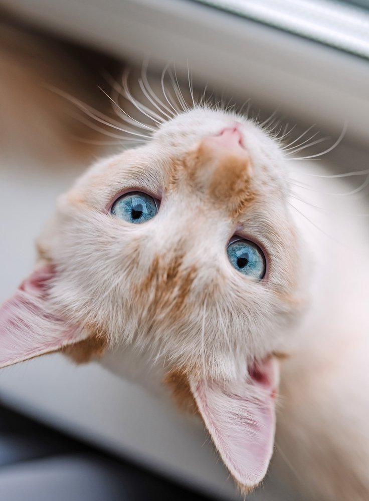 Photograph by Елена Братчук