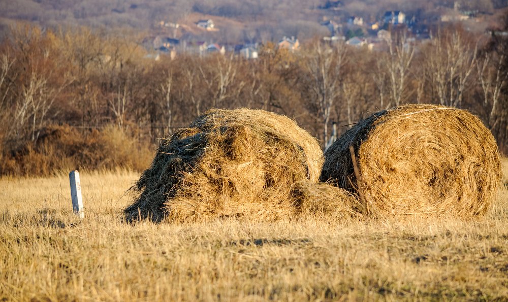 Осеннее утро.