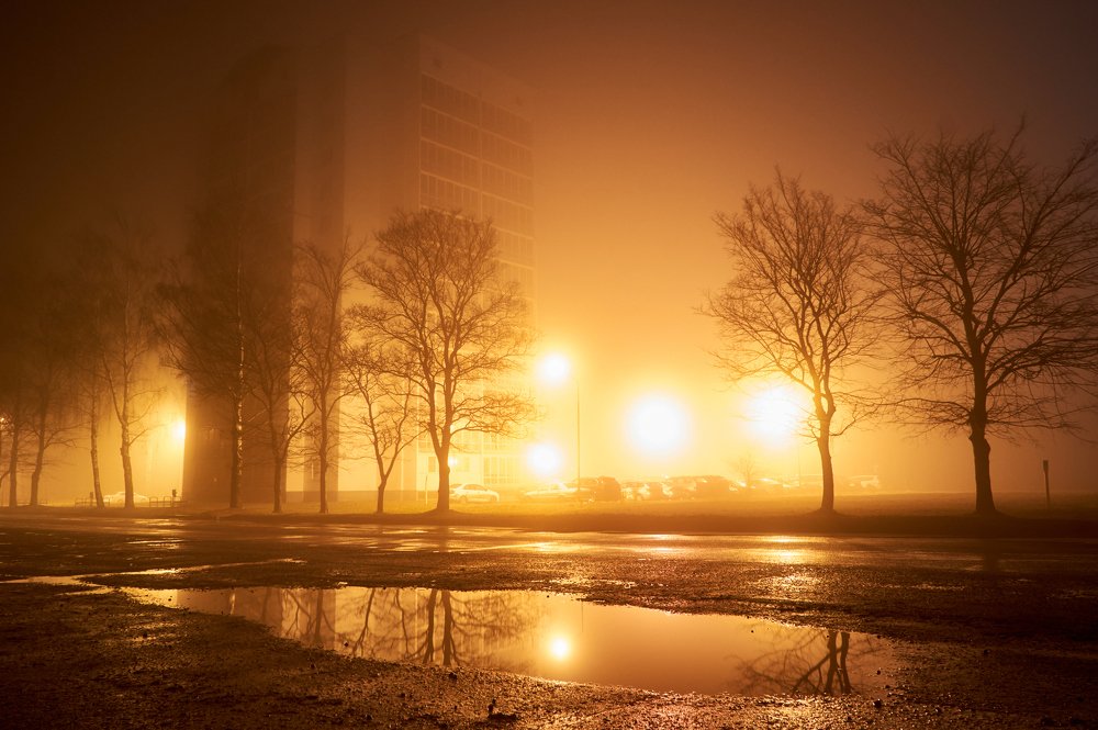 Photograph by Медведев Александр