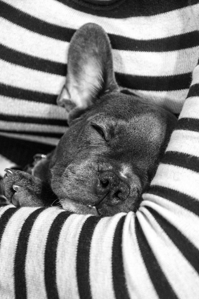 Photograph by Lidia Losada Campaña