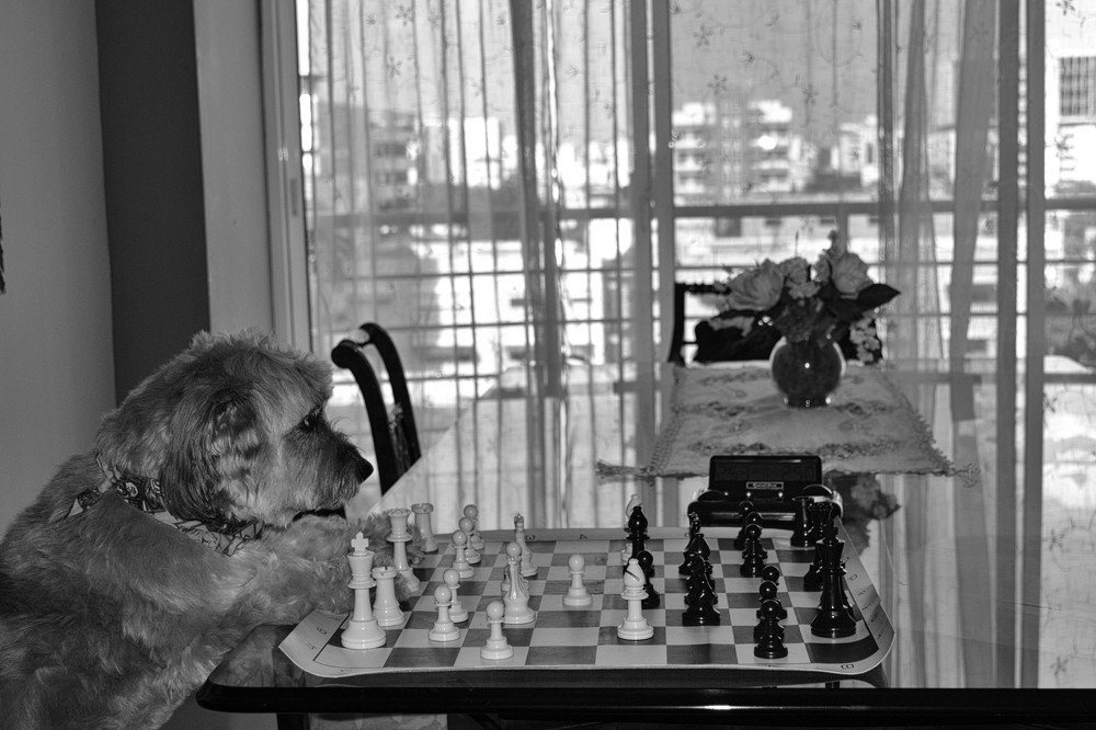 Photograph by Lidia Losada Campaña