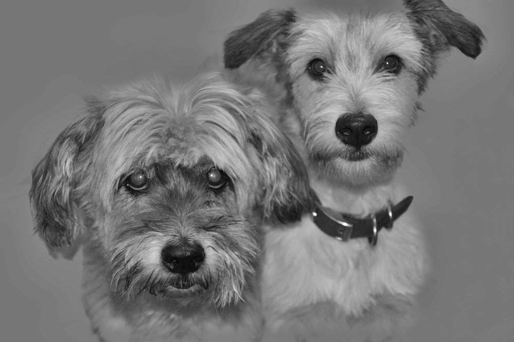 Photograph by Lidia Losada Campaña