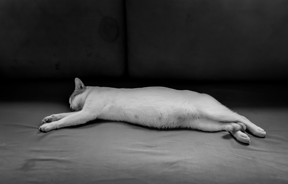 Photograph by Carlos Macias