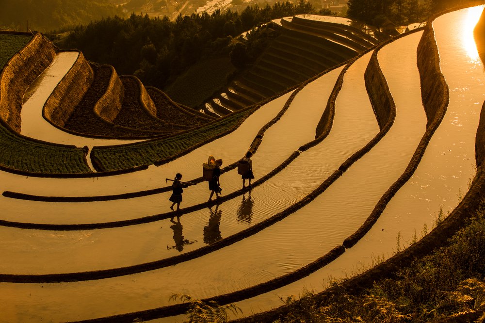 Photograph by Khổng Giang