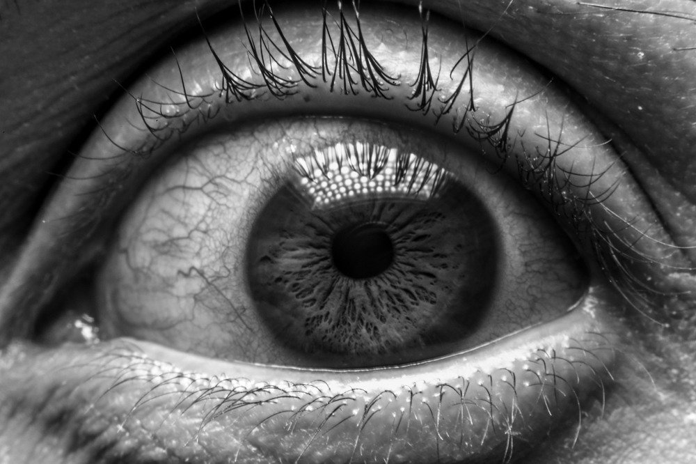 Фотография автора Gabriel de Araujo Almeida