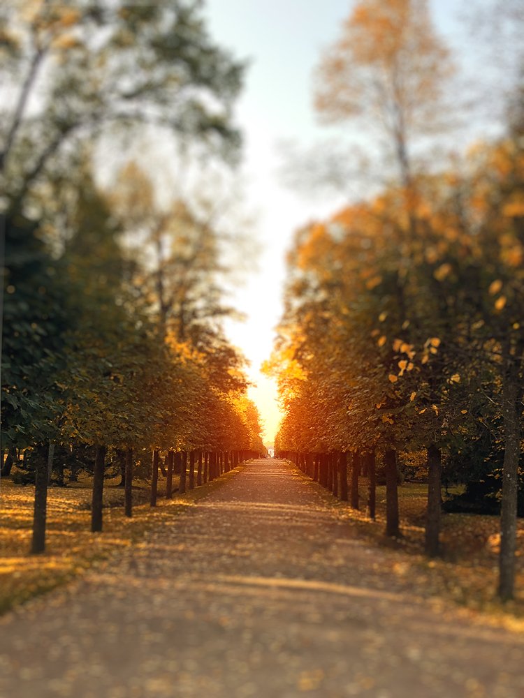 Фотография автора Nikolay DUGINOFF