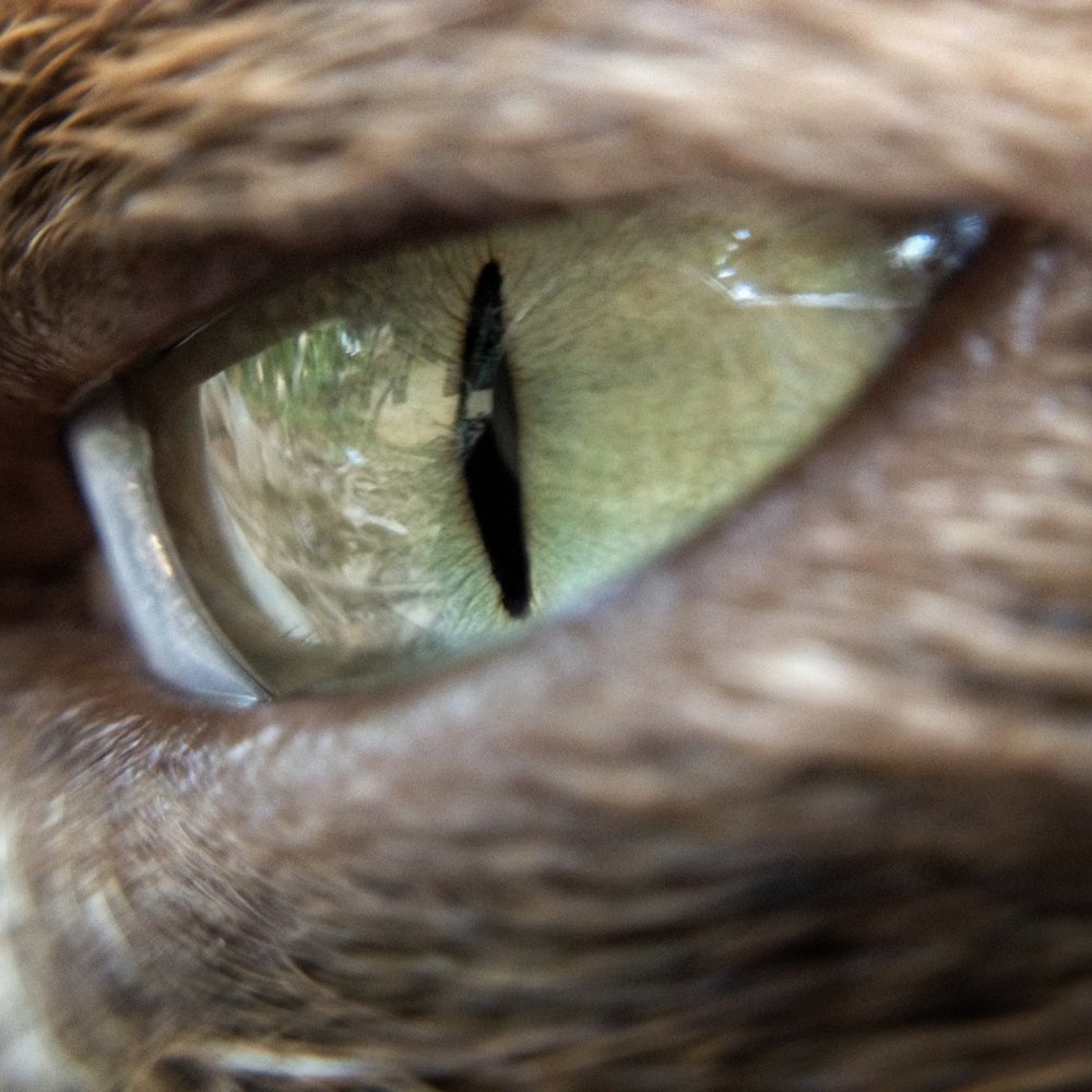 Photograph by Harisankar B