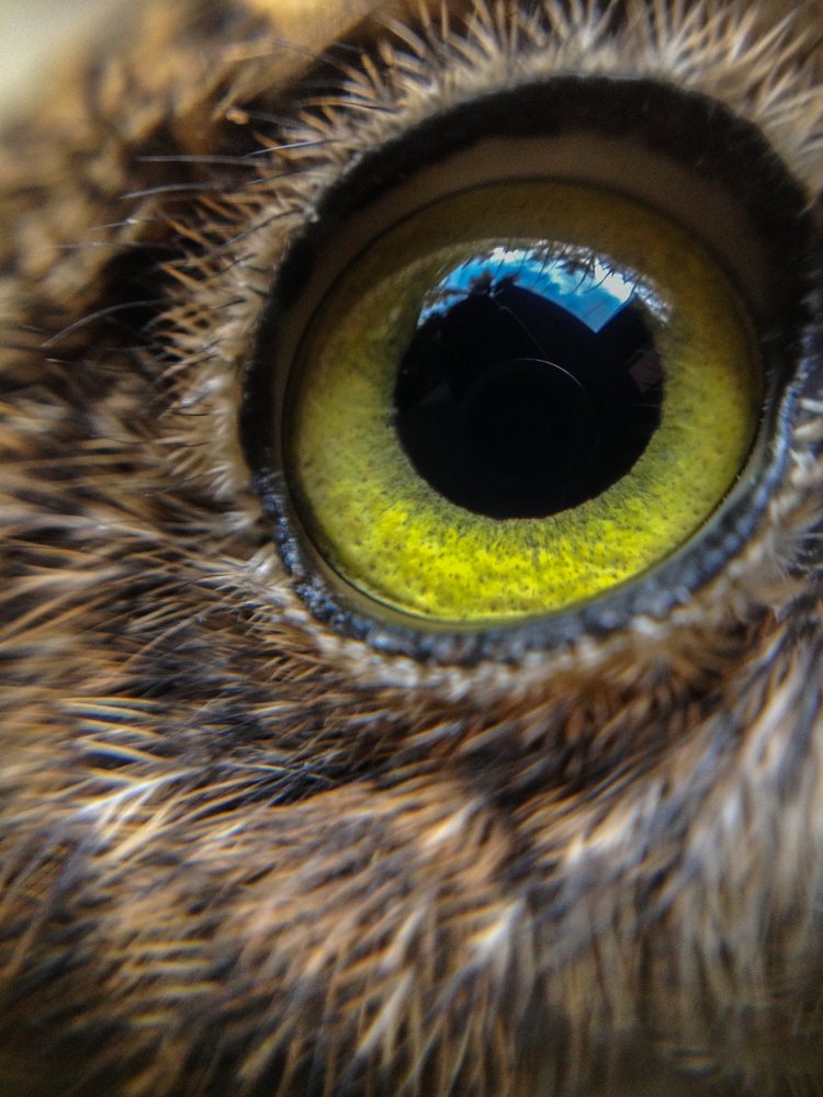 Photograph by Harisankar B