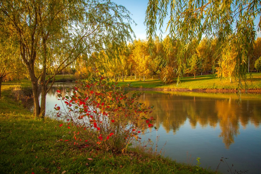 Photograph by андрей зорин