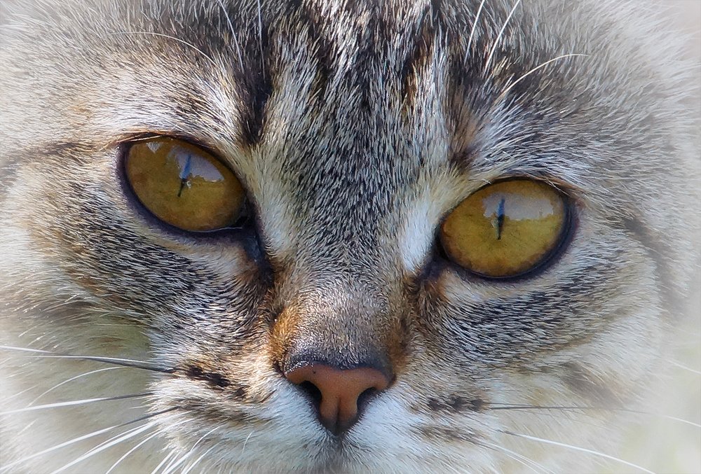 Photograph by Анатолий Максимов