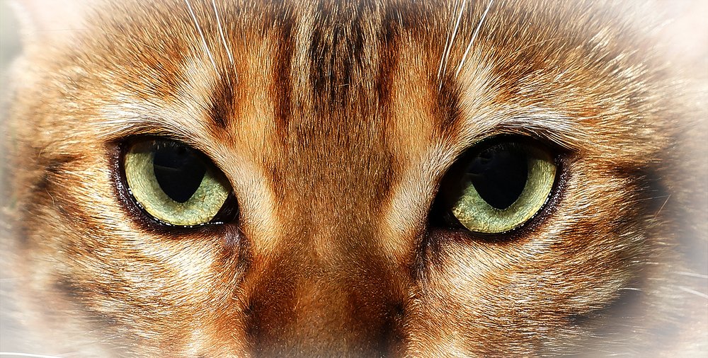 Photograph by Анатолий Максимов