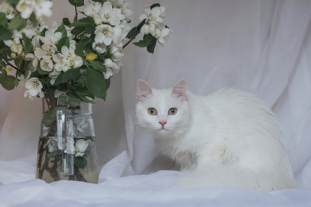 Photograph by Ольга Тишкова