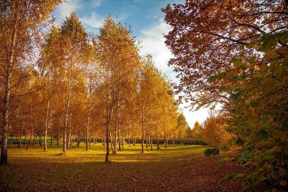 Photograph by андрей зорин