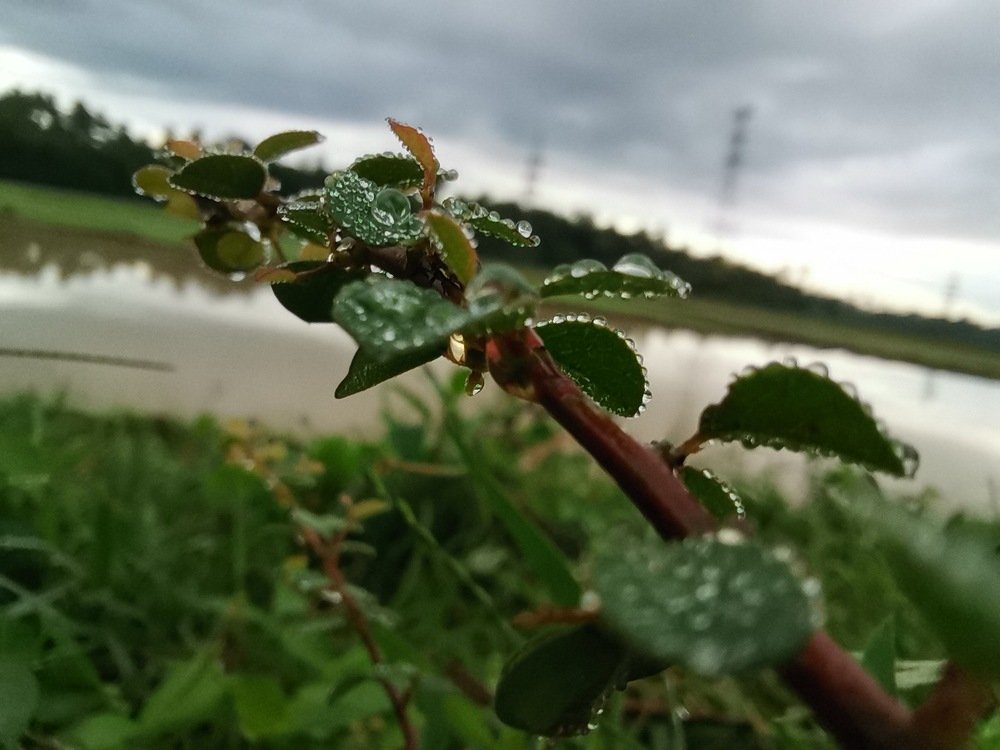 Photo #5290758