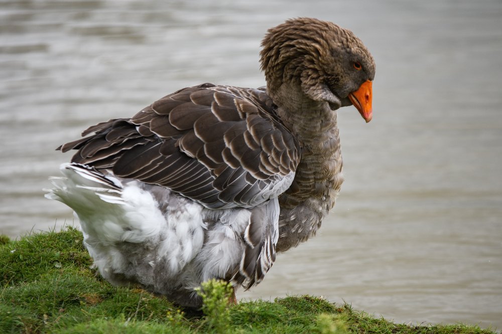 Photograph by Демьян Лопатов