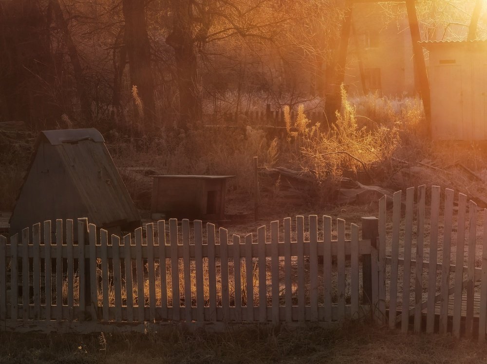 Морозное утро в Карелии.