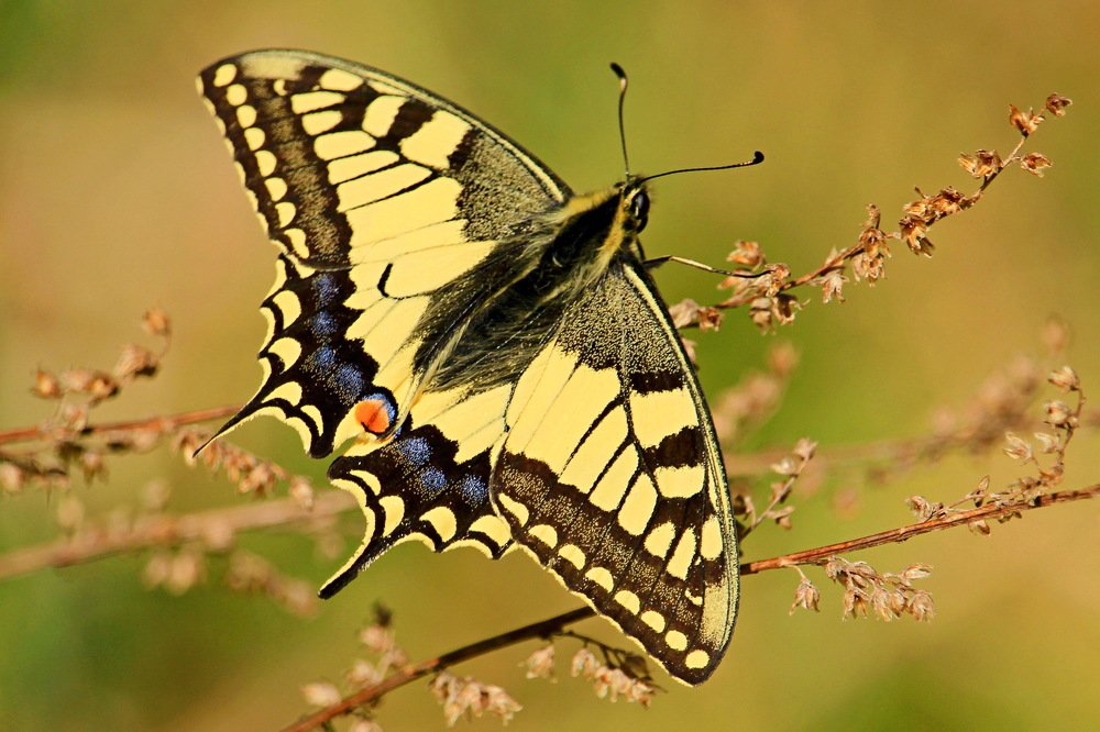 Photograph by Сергей Кожевников