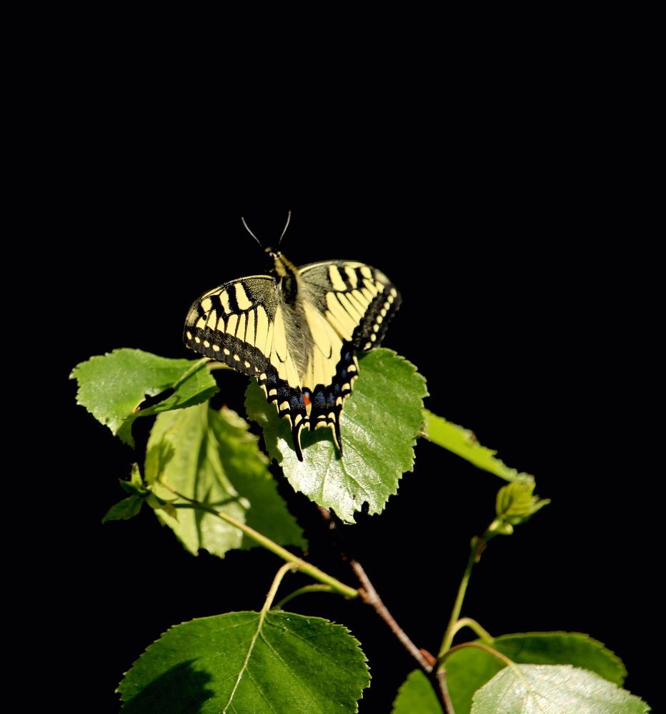 Photograph by Сергей Кожевников