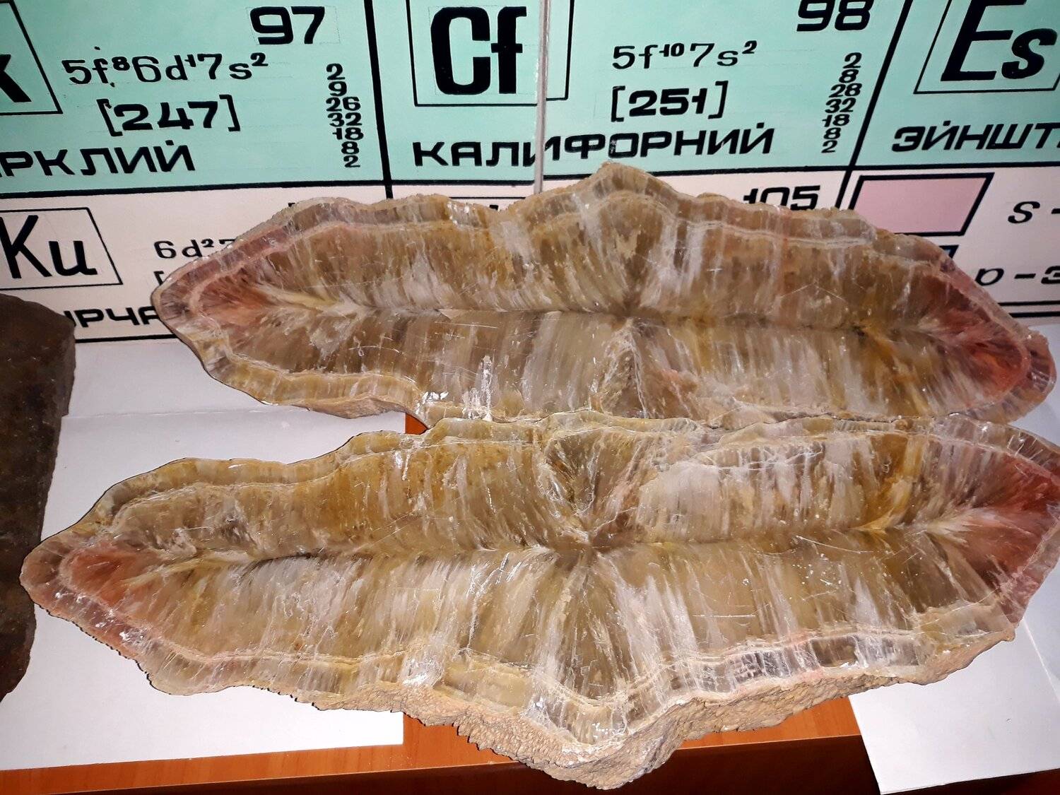 Photo #5290862