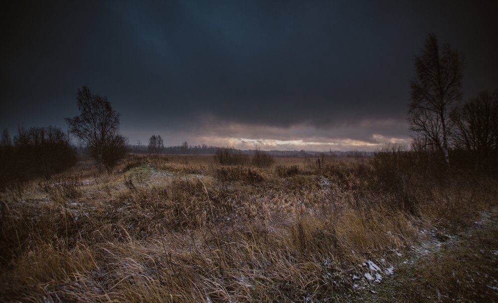 Photograph by Liguanna Anna