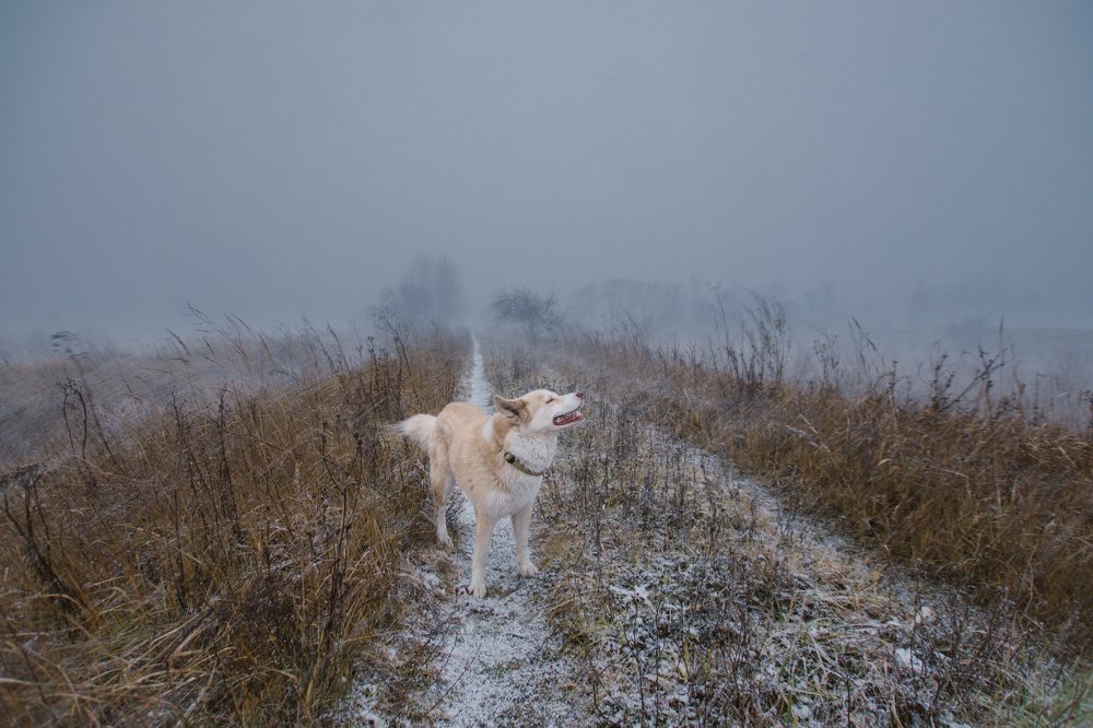 Photograph by Liguanna Anna