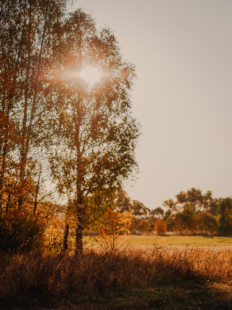 Photograph by Артём Аниськин