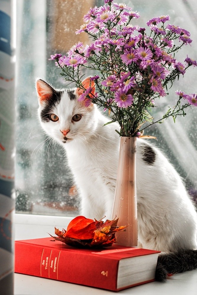 Photograph by Алена