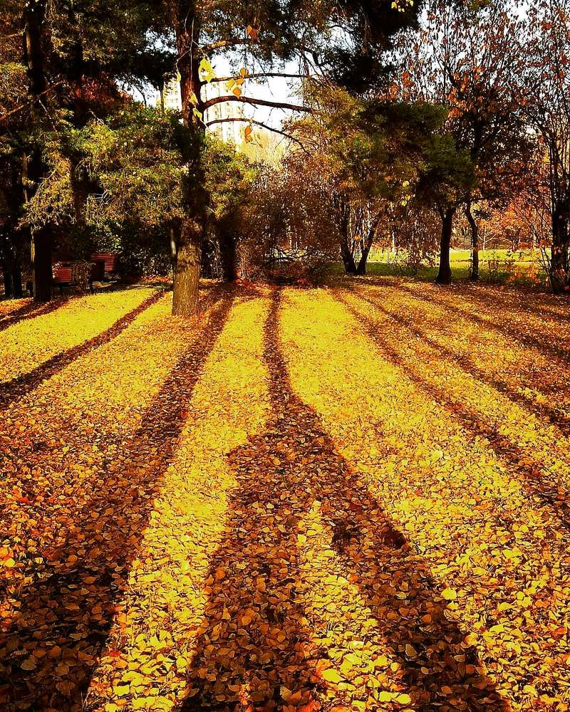 Photograph by Vadim Arutyunov