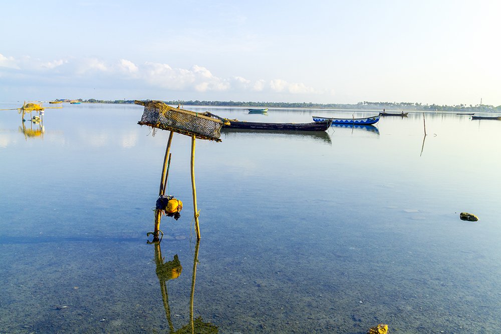 Photograph by Shreeharan Rajasingham