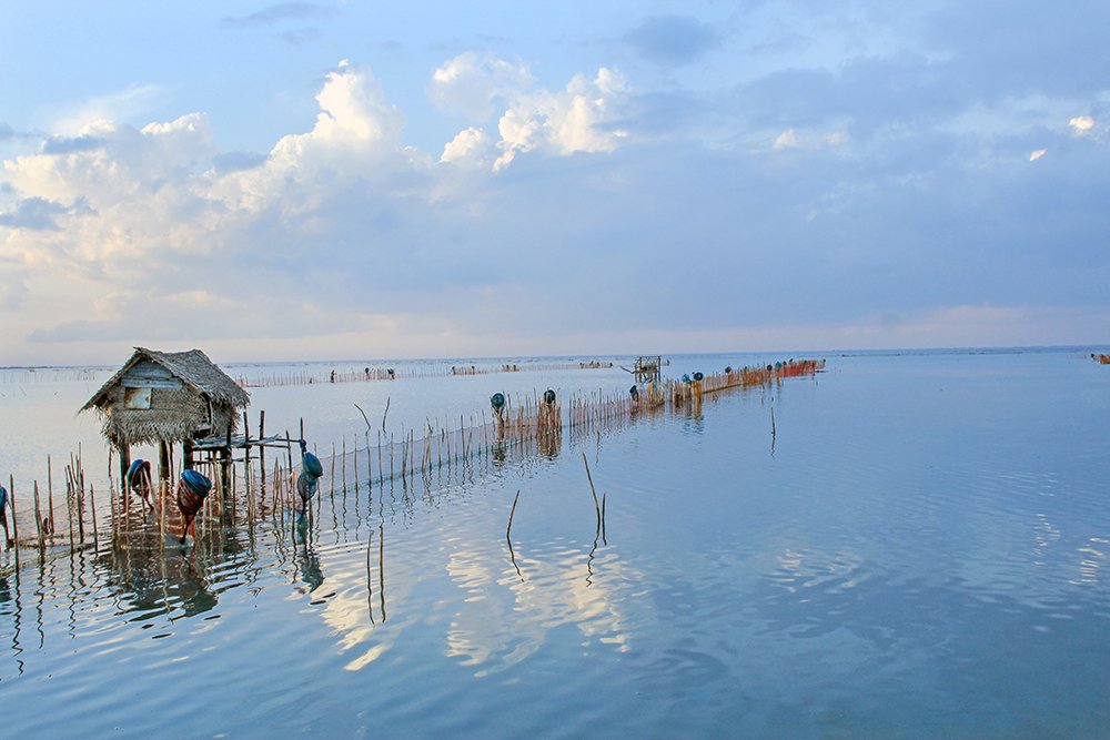 Photograph by Shreeharan Rajasingham