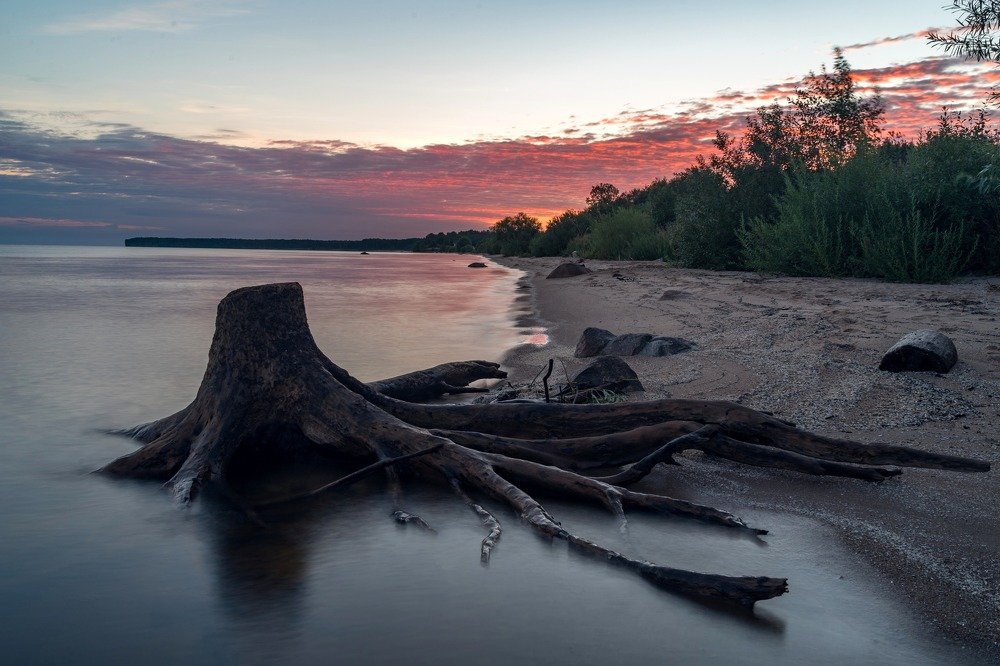 Photograph by Алексей Глухов