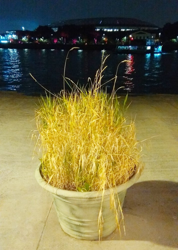 Photograph by Vadim Arutyunov