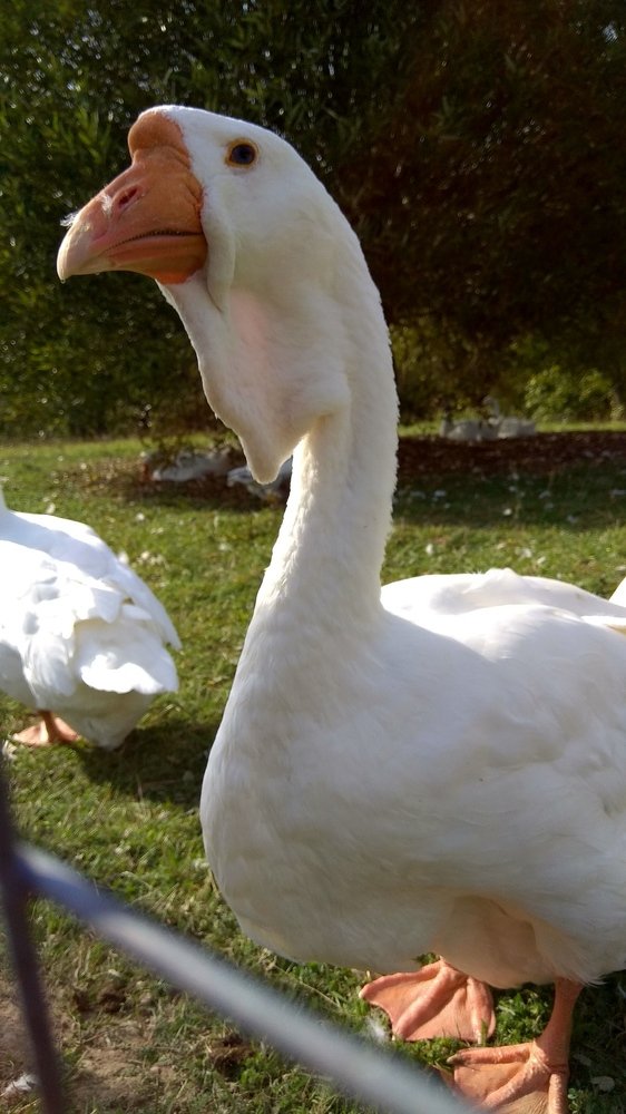 Photograph by Vadim Arutyunov