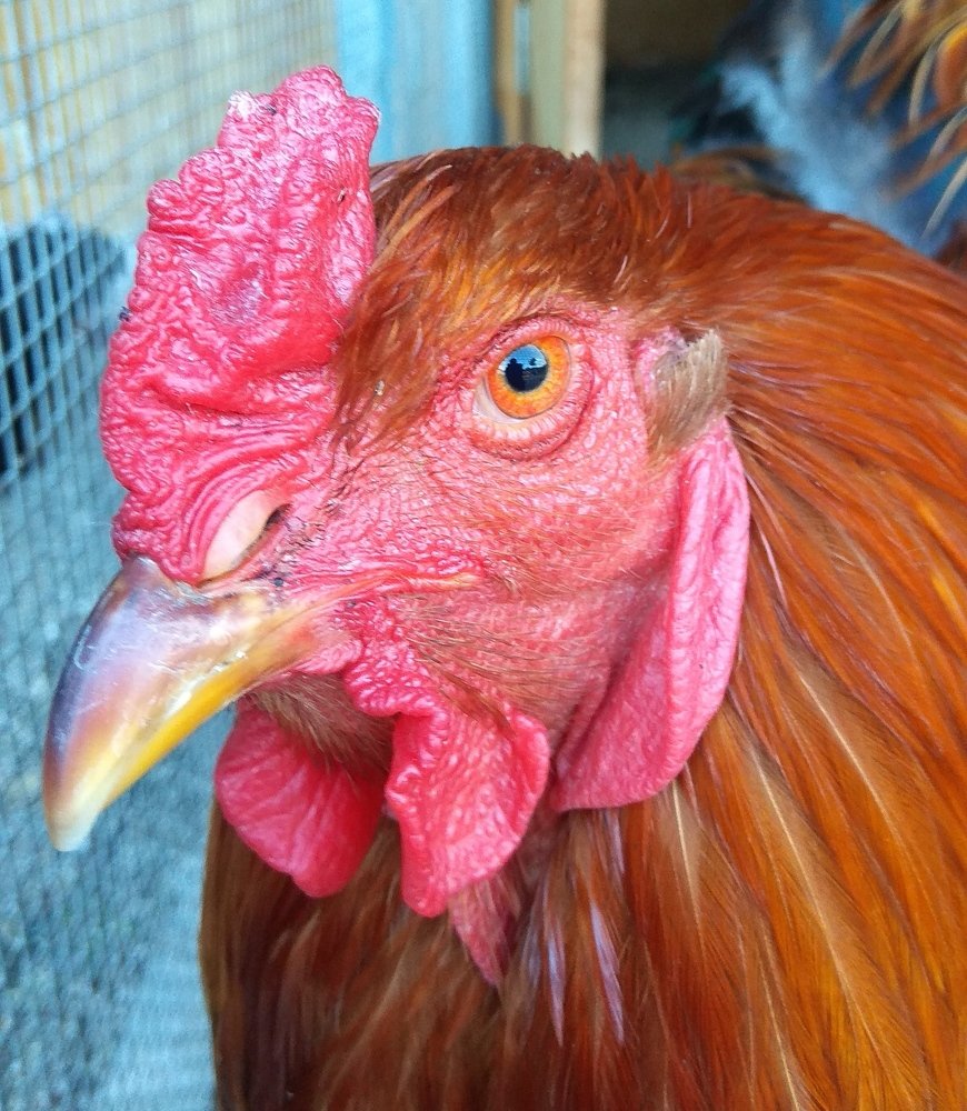 Photograph by Vadim Arutyunov