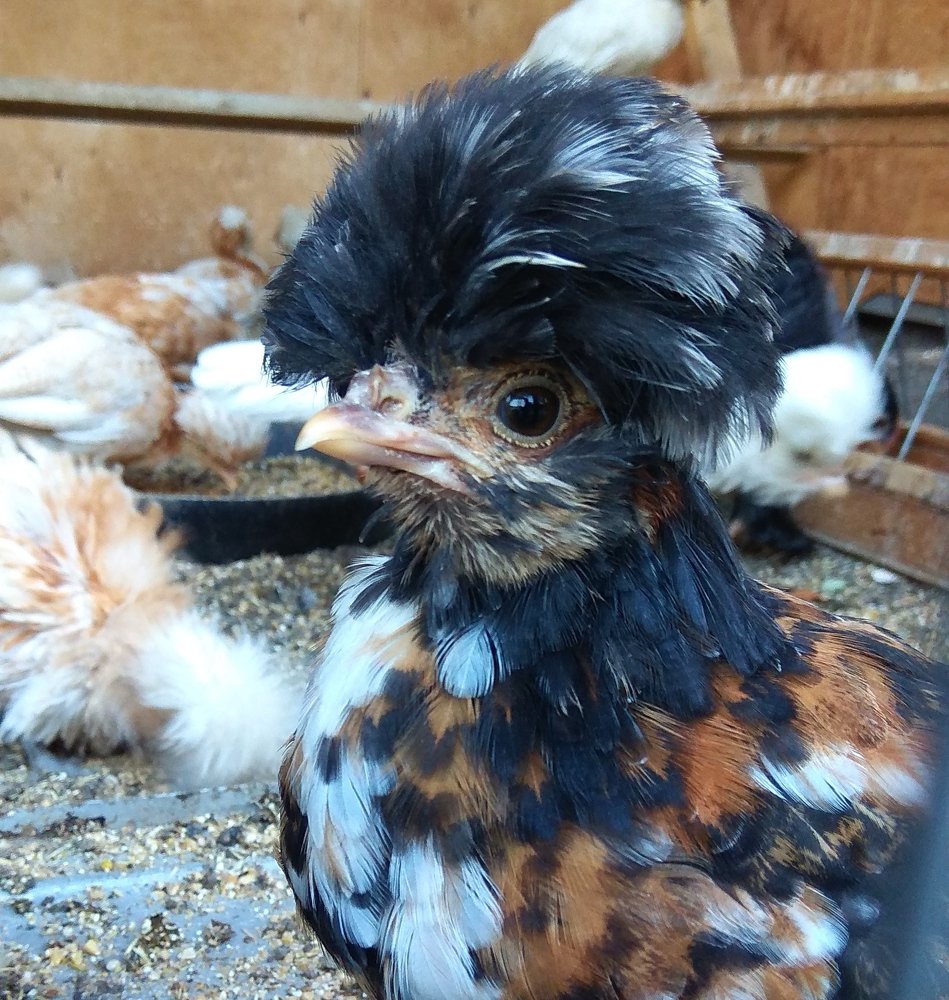 Photograph by Vadim Arutyunov