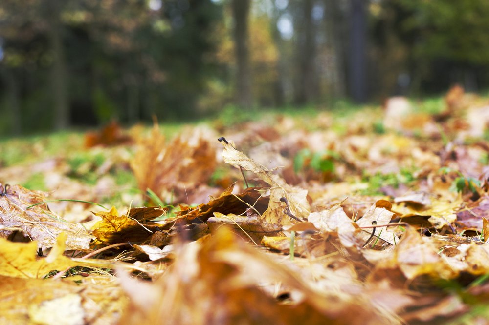 Photograph by Andrei Kramskov