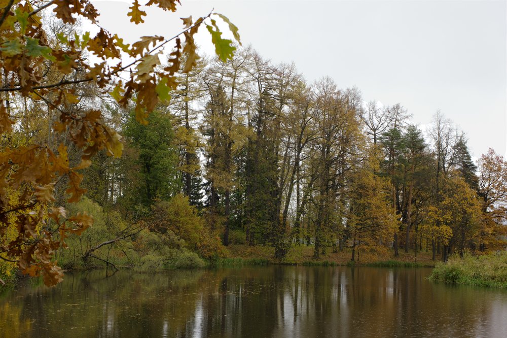 Photograph by Andrei Kramskov