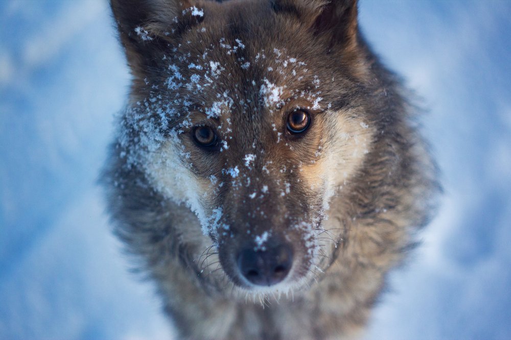 Photograph by Евгения Лацис