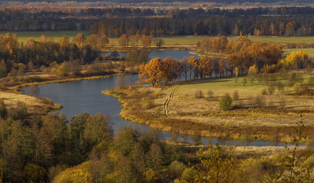 Photograph by Дмитрий Алексеев