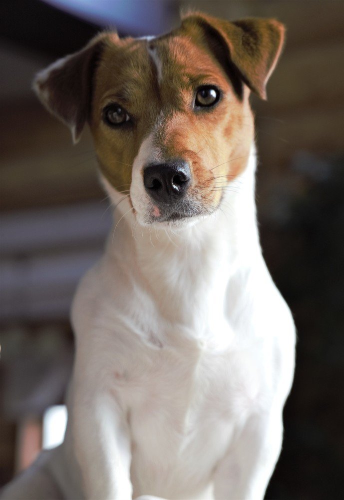 Photograph by Tatiana Mishchenko