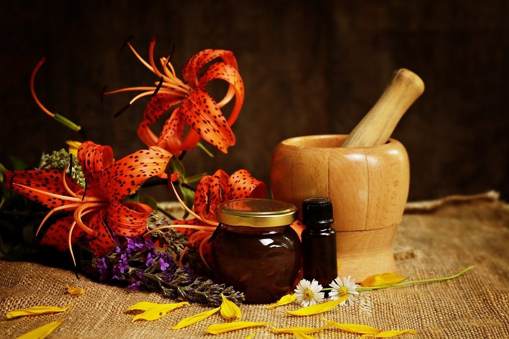 Photograph by Domsitz Judit