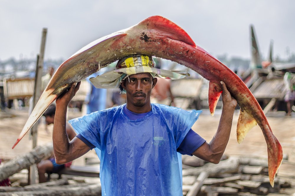 Photograph by sanchayan chowdhury