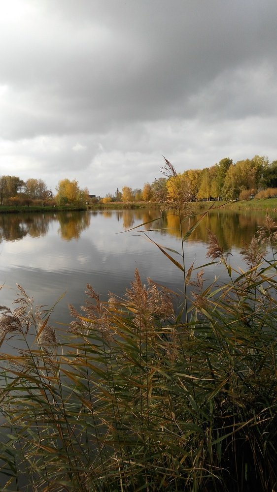 Photo #5291121