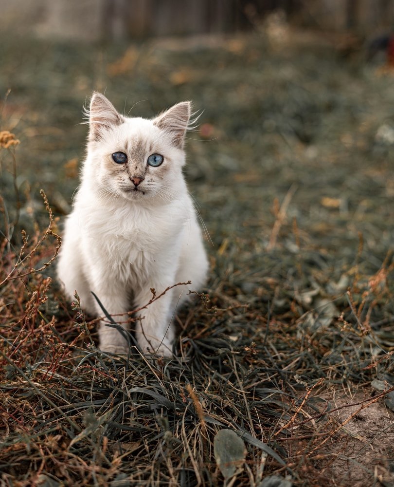 Photograph by Константин Михайлов