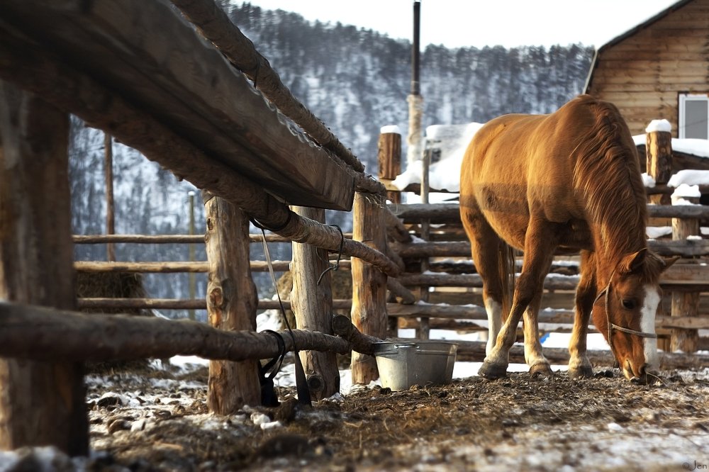 Photograph by Евгения Лацис