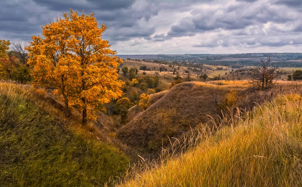 Photograph by Павел Абакумов