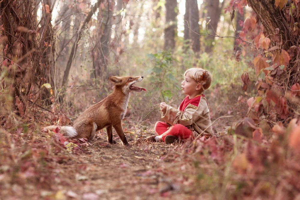 Photograph by Iryna Petrenko