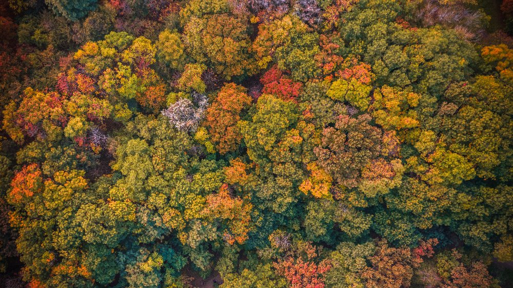 Photograph by Сергей Лазуткин