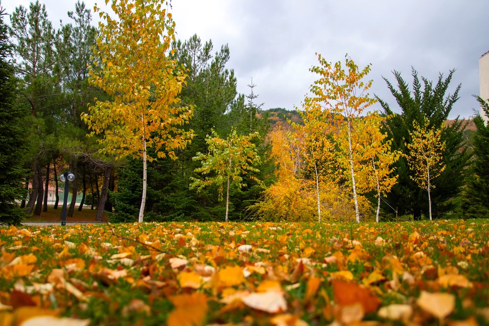 Photograph by Роман Приходько